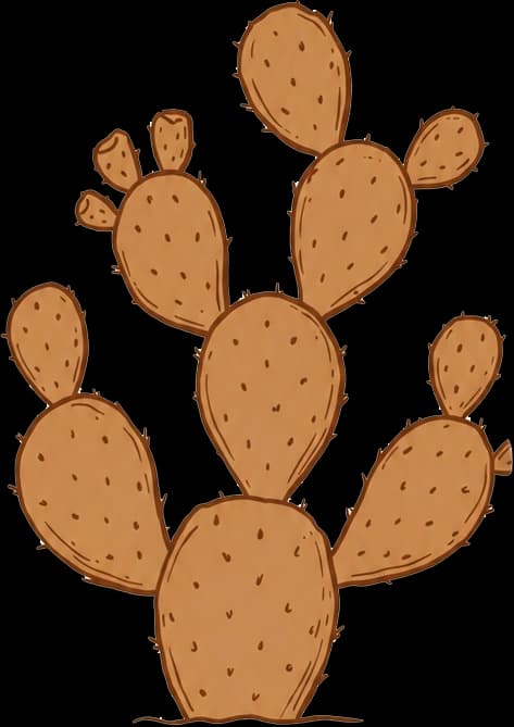 Prickly pear cactus